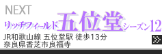 �V�z �V���b�`�t�B�[���h�V���[�Y
